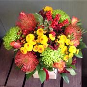 Autumn Fire Cracker 