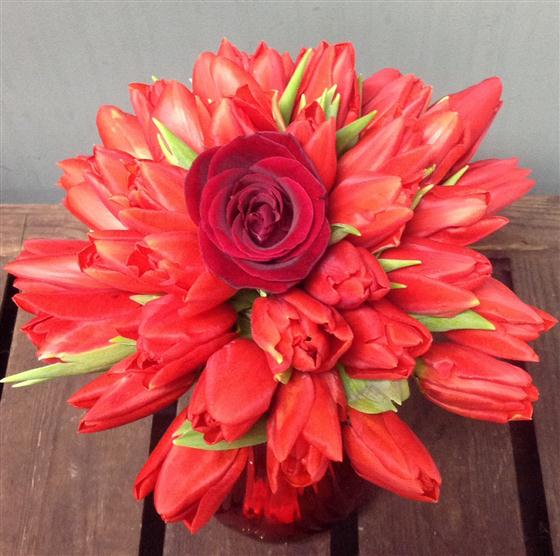 Tulip Kiss The Flower Sanctuary Florist Balham